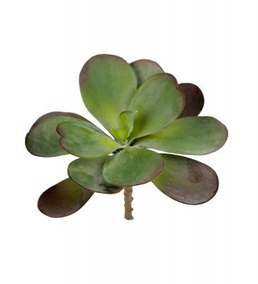 Succulent 17cm, Konstgjord