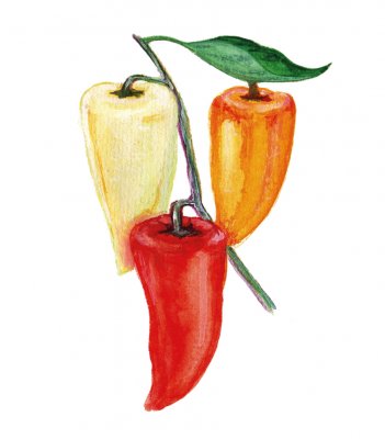 Paprika Ferenc Tender