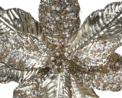 Julstjärneblomma 8x30cm