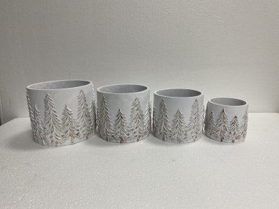 Kruka Gran Gråguld