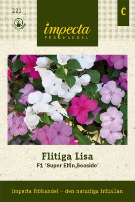 Flitiga Lisa, 'Super Elfin Seaside' F1