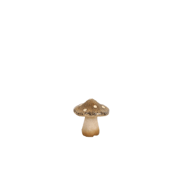 Svamp Brun 6x7cm