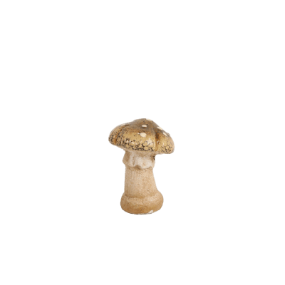 Svamp Brun 7x9cm