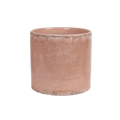 Kruka Aprikos Rosa