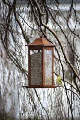 Fågelmatare Frö Rusty 33cm