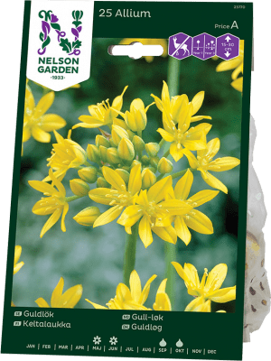 Guldlök Allium moly
