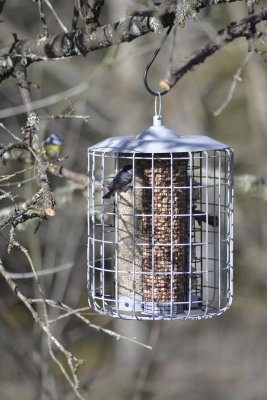 Fågelmatare, Triple Protect, frö/nöt/talgboll, Grå