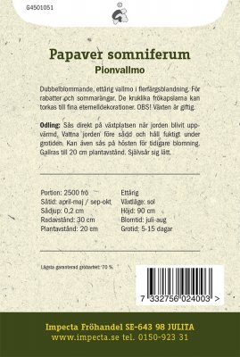 Vallmo, Pion-