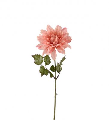 Dahlia Rosa 45cm