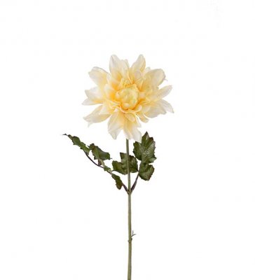 Dahlia Gul 45cm