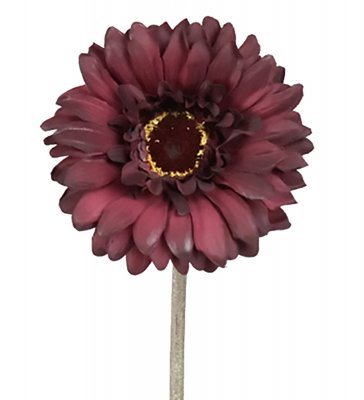 Gerbera Vinröd 55cm