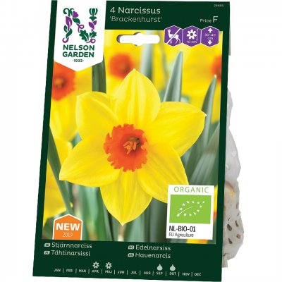 Stjärnnarciss Narcissus Replete EKO 4st