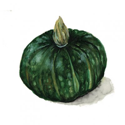 Squash, Vinter-, Buttercup Bush Emerald