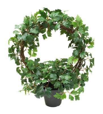 Cissus Båge 45cm