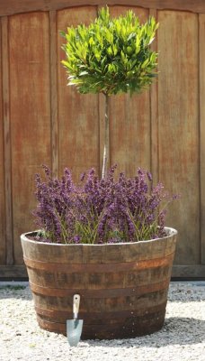 Planteringstunna 44x64cm