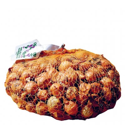 Sättlök Schalottenlök 1000g
