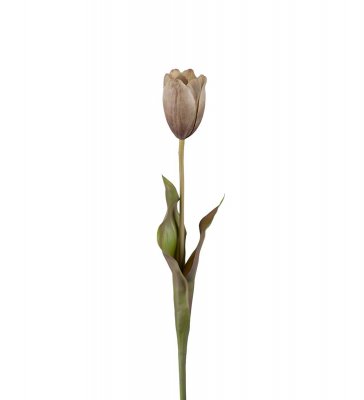 Tulpan Brun 58cm, Konstgjord