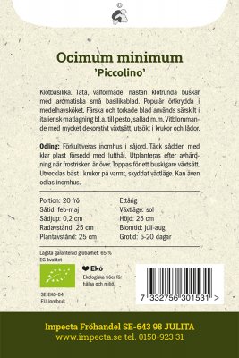 Basilika, Småbladig 'Piccolino', Ekologisk