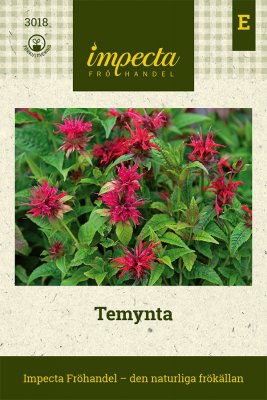 Temynta