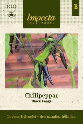 Chilipeppar 'Black Fangs'
