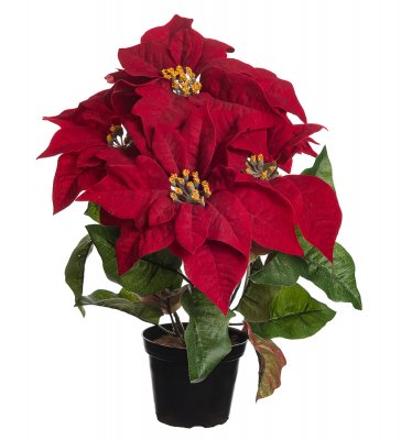 Julstjärna Röd 38cm