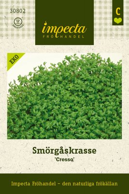 Krasse, Smörgås-, 'Cresso', Ekologisk