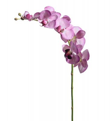 Orkidé Lila 75cm