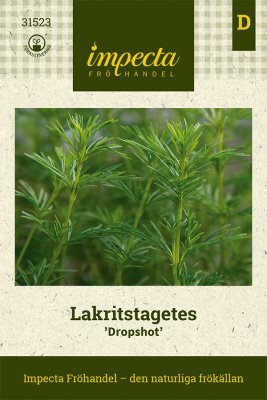 Tagetes, Lakrits-, Dropshot