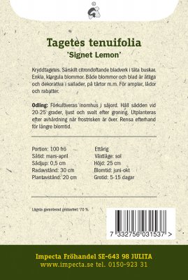 Tagetes, Liten, Signet Lemon