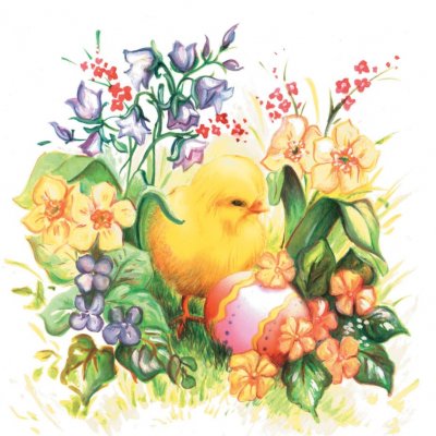 Servetter 3-lags 33x33cm 20-pack Chicken With Egg