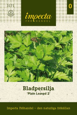 Persilja, Blad-, 'Plain Leaved 2'