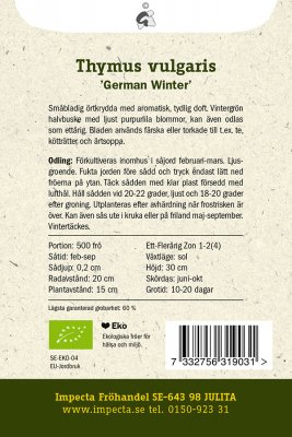 Timjan, Krydd-, 'German Winter', Ekologisk