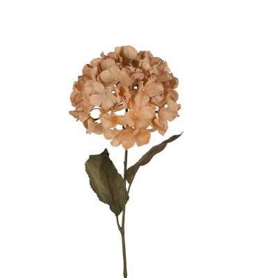Hortensia Beige 70cm, Konstgjord