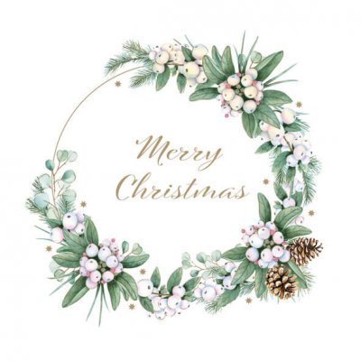 Servetter 3-lags 33x33cm 20-pack Elegant Mistletoe