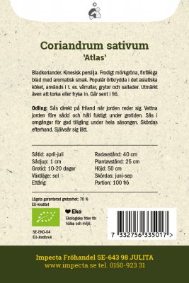 Koriander, Atlas, Ekologisk