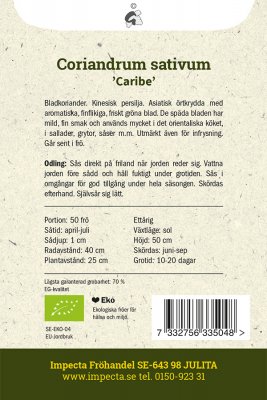 Koriander 'Caribe', Ekologisk