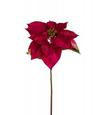Julstjärna Burgundy 70cm, Konstgjord