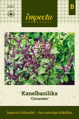 Basilika, Kanel-, Cinnamon