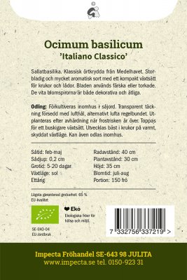 Basilika, Storbladig, Italiano Classico, Ekologisk