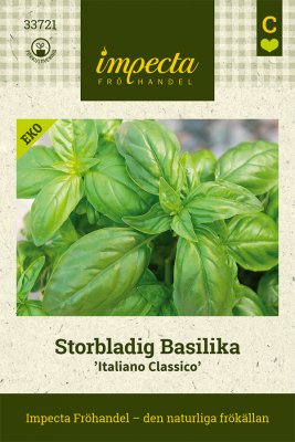 Basilika, Storbladig, Italiano Classico, Ekologisk