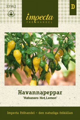 Havannapeppar 'Habanero Hot Lemon'