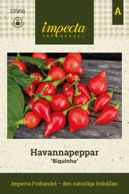Havannapeppar Biquinho