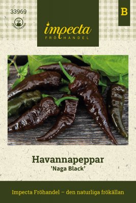 Havannapepper Naga Black