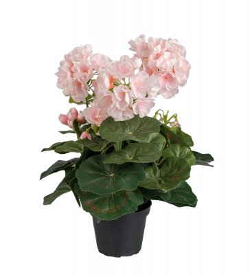 Pelargon 35cm Ljusrosa