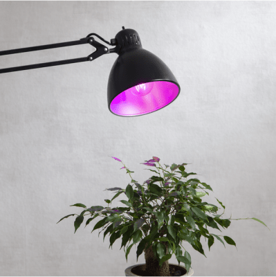 Växtlampa LED E27 lm 200