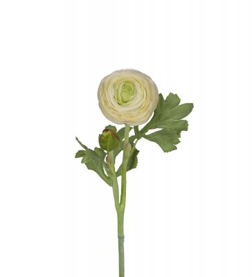 Ranunkel Vit 50cm