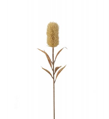 Banksia Beige 75cm, Konstgjord