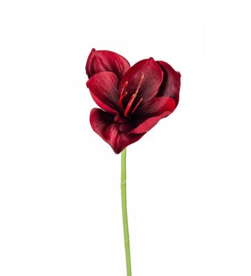 Amaryllis Röd 40cm, Konstgjord