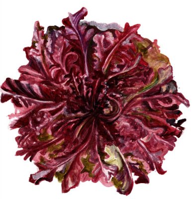 Sallat, Plock-, Red Salad Bowl
