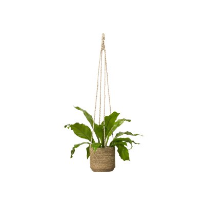Ampel Belle Natur 17x15cm